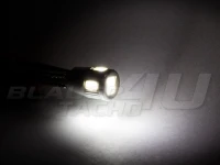 Preview: LED Kennzeichenbeleuchtung 2x w5w T10 6x5630 SMD LED weiß CAN-Bus